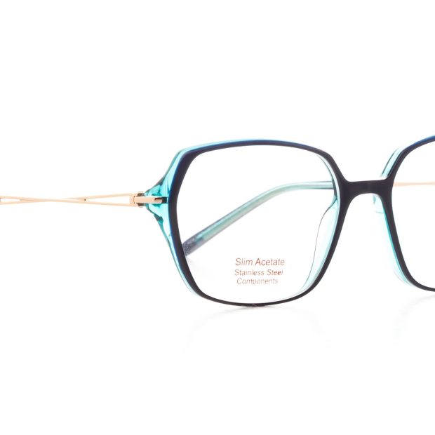 Γυαλιά Οράσεως ANA HICKMAN. Μοντέλο HI6177