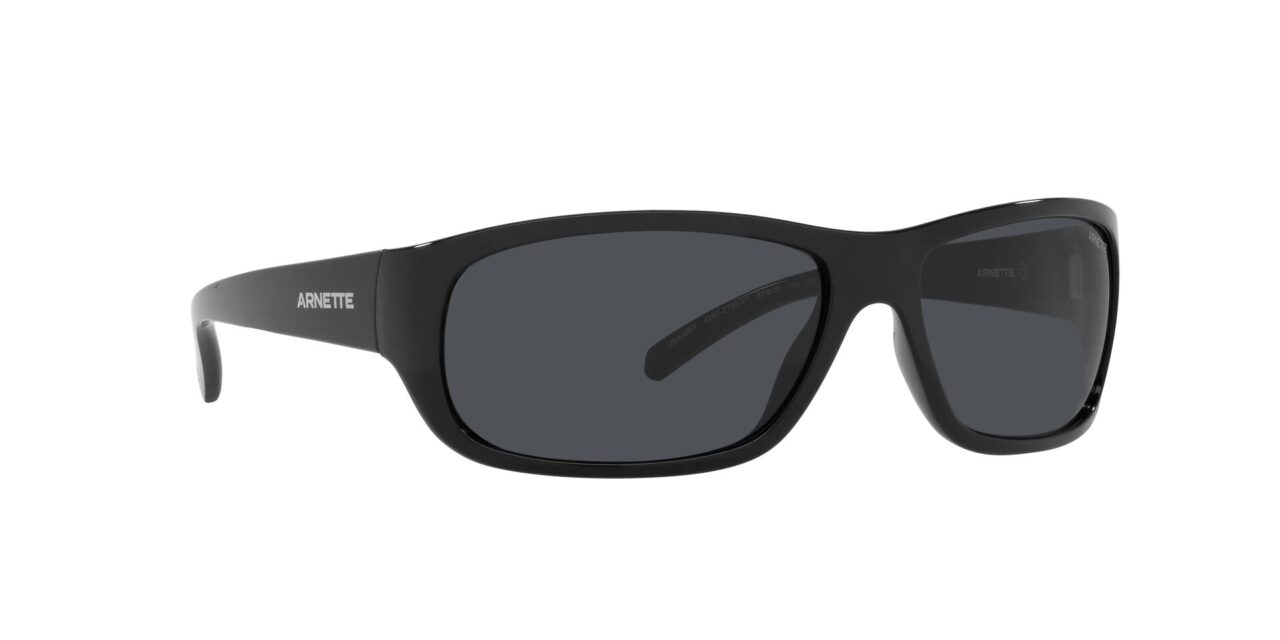 Γυαλιά Ηλίου ARNETTE. Μοντέλο 0AN4290 - Image 11